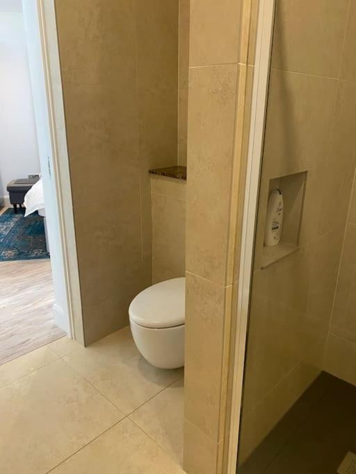 דבלין Beautiful Garden Apartment With Private Patio And Garden View מראה חיצוני תמונה