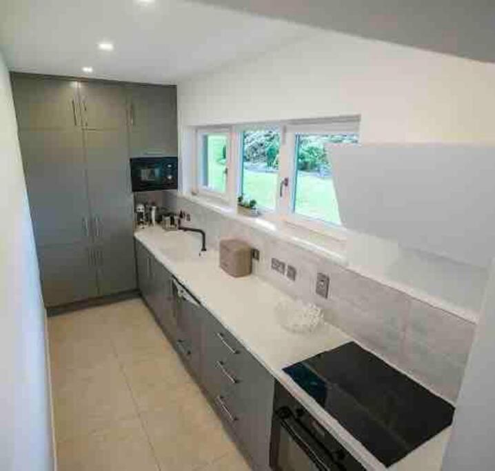 דבלין Beautiful Garden Apartment With Private Patio And Garden View מראה חיצוני תמונה